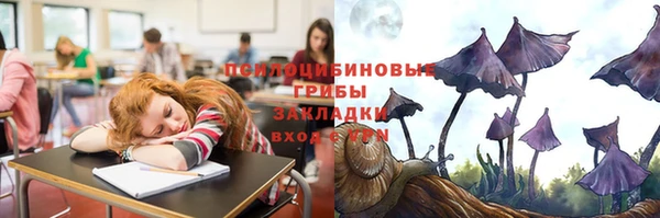 ешки Абаза