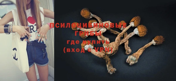 ешки Абаза